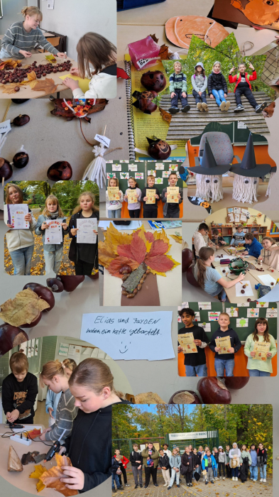 5b.jpg